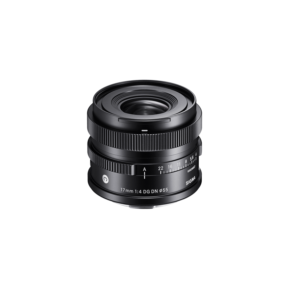 17mm F4 DG DN