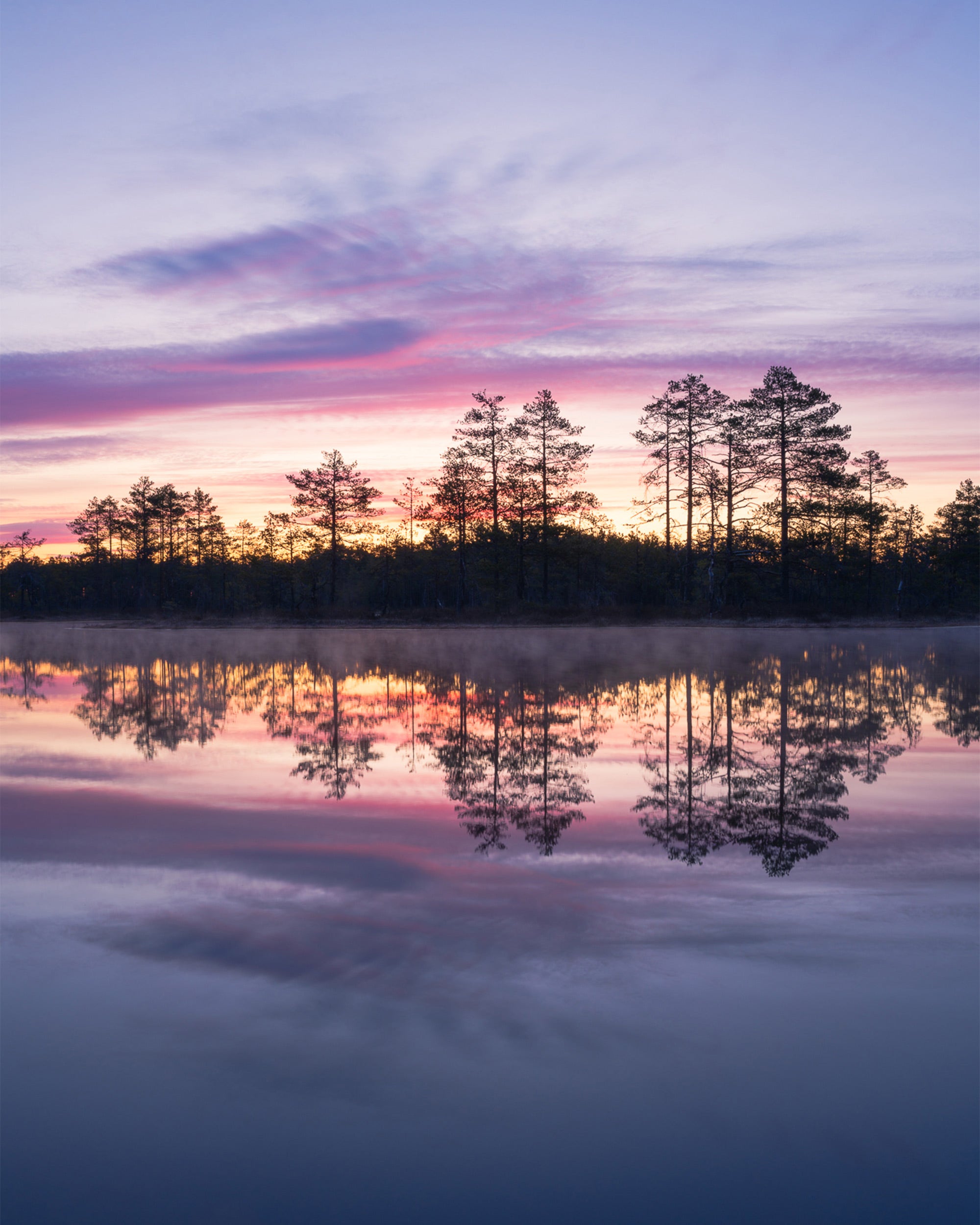 Nature Reflections